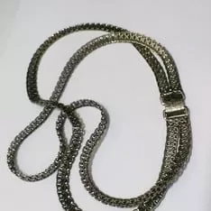 扁式蛇鍊